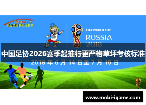 中国足协2026赛季起推行更严格草坪考核标准 中国足协2026赛季起推行更严格草坪考核标准